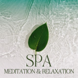 Spa, Meditation & Relaxation