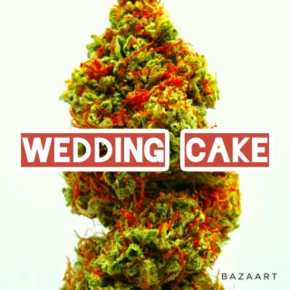 WEDDING CAKE (Radio Edit)