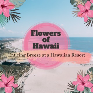 Enticing Breeze at a Hawaiian Resort