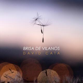 Brisa de vilanos