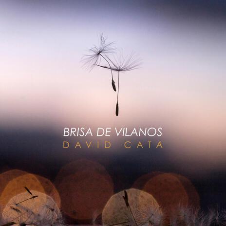 Brisa de vilanos | Boomplay Music