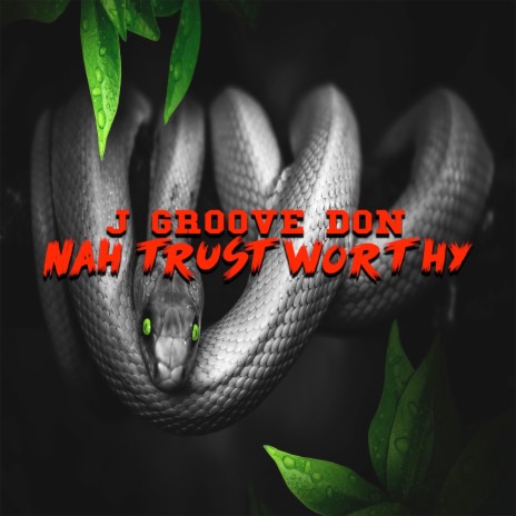 Nah Trustworthy | Boomplay Music