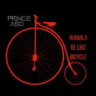 Wahala Be Like Bicycle