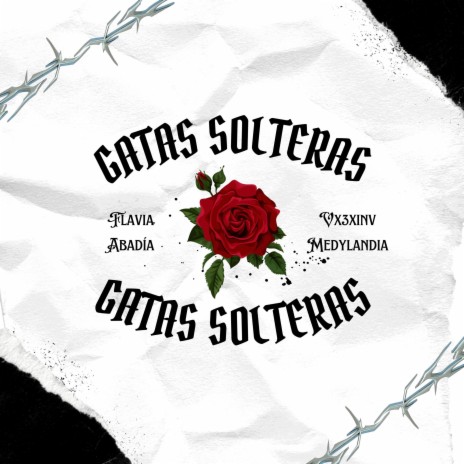 GATAS SOLTERAS ft. VX3XINV & Medylandia | Boomplay Music