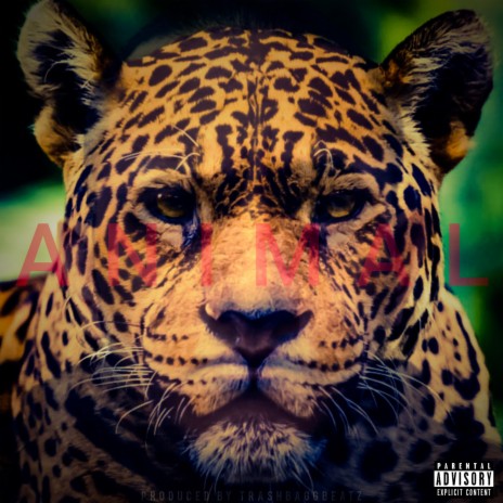 ANIMAL | Boomplay Music