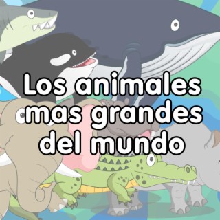 Los Animales mas Grandes del Mundo