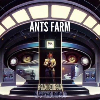 Ants Farm