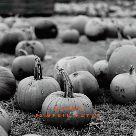 Pumpkin Patch | Boomplay Music