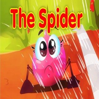 The Spider