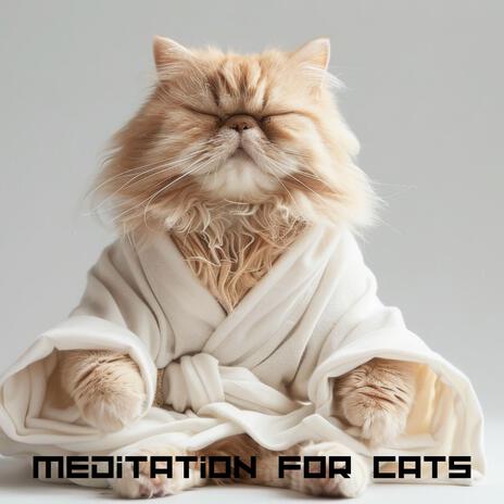 Calm Paws Meditation ft. Sleepy Cats!, Cat Music!, Cat Hour & Meditation! | Boomplay Music