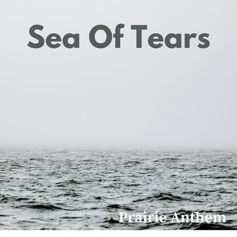 Sea Of Tears | Boomplay Music