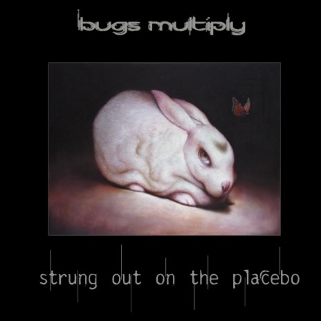 Strung out on the Placebo | Boomplay Music