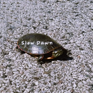 Slow Dawn