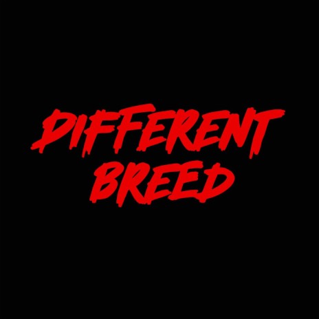 Different Breed | Boomplay Music