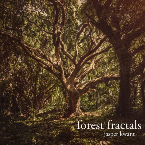 Forest Fractals