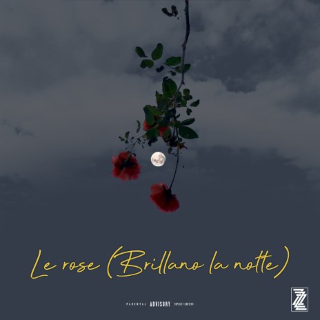 Le rose (Brillano la notte) ft. DabolKeyB | Boomplay Music