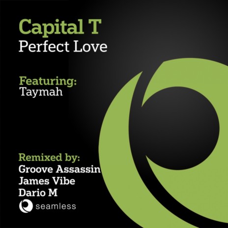 Perfect Love (Groove Assassin Masterclass Mix)