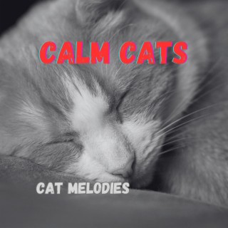 CALM CATS