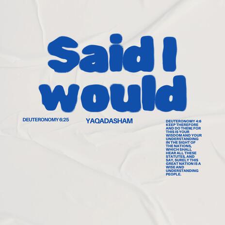 Said I Would | Boomplay Music