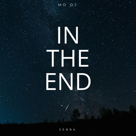 In The End (Extended) ft. Sebba | Boomplay Music