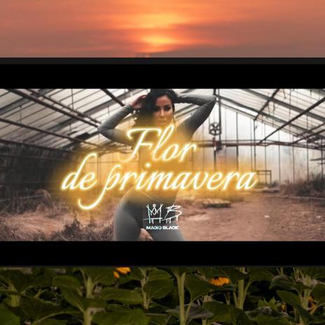 Flor de primavera | Boomplay Music