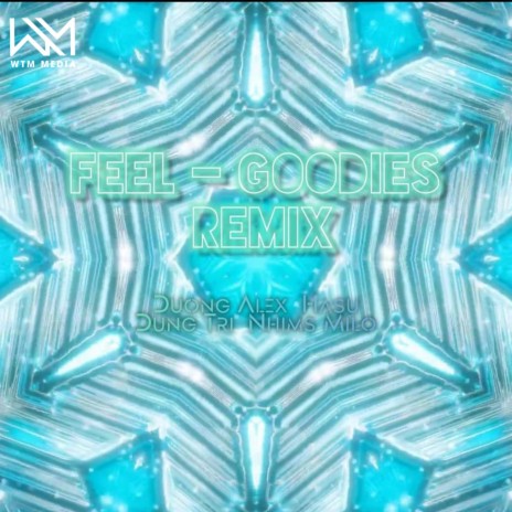 Feels - Goodies (Remix) ft. Dũng Trí Remix & Hasu | Boomplay Music