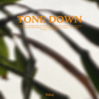 Tone Down