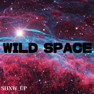 Wild Space