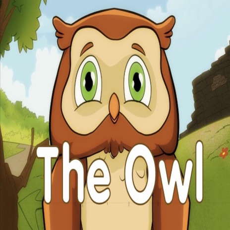 The Owl