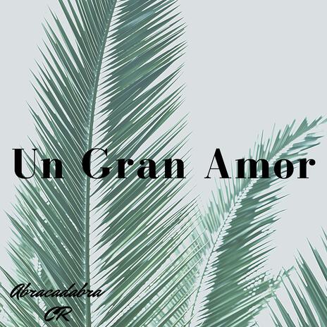 Un Gran Amor | Boomplay Music