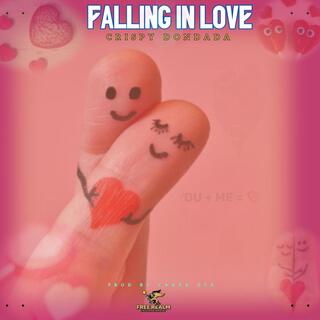 FALLING IN LOVE lyrics | Boomplay Music