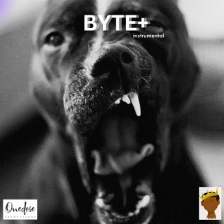 BYTE