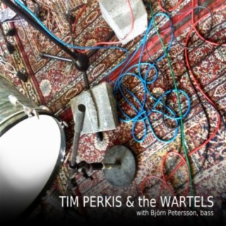 Tim Perkis & The Wartels