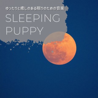 ゆったりと癒しのある眠りのための音楽