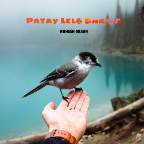 Patay Lelo Bhaiya | Boomplay Music