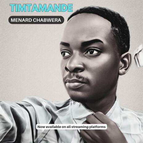 TIMTAMANDE | Boomplay Music