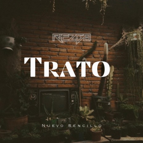 Trato | Boomplay Music