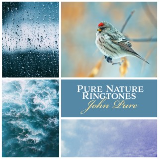 Pure Nature Ringtones: Morning Alarm Clock (Rain, Waves, Birds)