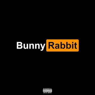 BunnyRabbit