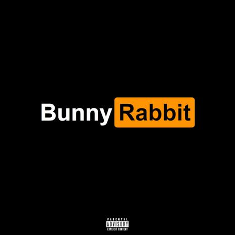 BunnyRabbit