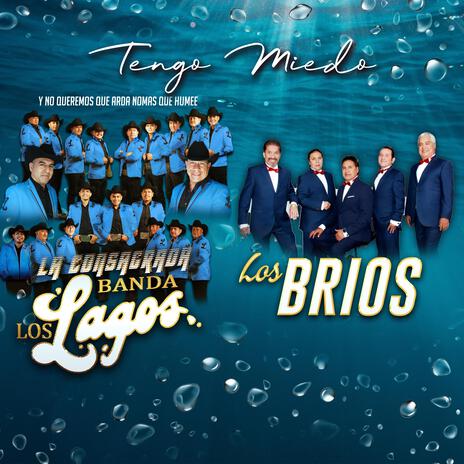 Tengo Miedo ft. Los Brios | Boomplay Music