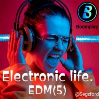 Electronic life. EDM(5)