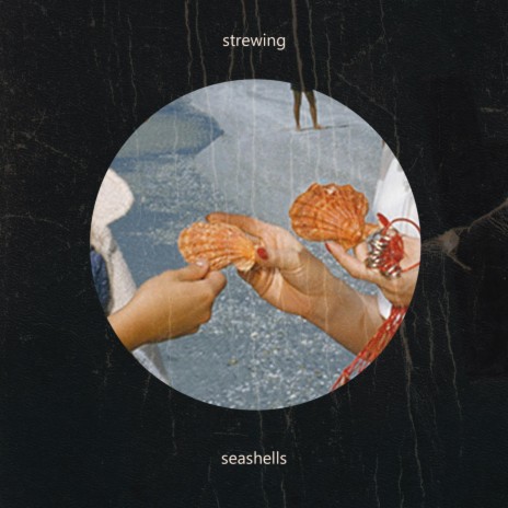 Seashells | Boomplay Music