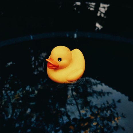 Rubber Duck | Boomplay Music