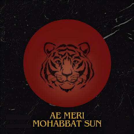 Ae Meri Mohabbat Sun DJ | Boomplay Music