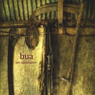 Bua