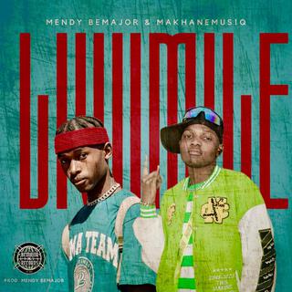 Mendy BeMajor & MakhaneMusiq - Livumile