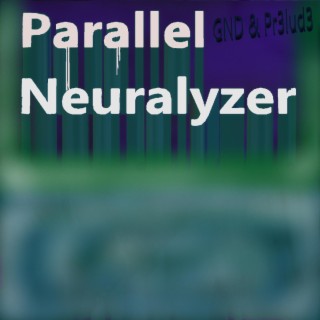 PARALLEL NEURALYZER