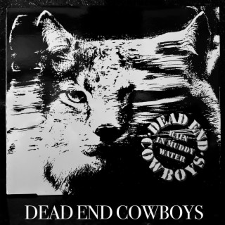 Dead End Cowboys