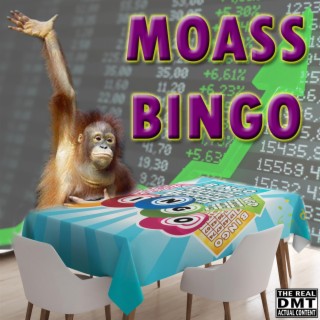 Moass Bingo